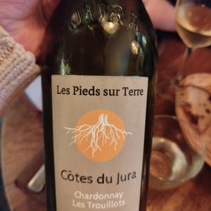 Chardonnay Les Trouillots - Les Pieds Sur Terre - Valentin Morel 