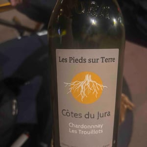 Chardonnay Les Trouillots (new label) - Les Pieds Sur Terre - Valentin Morel -2020