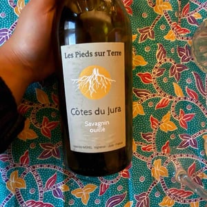 Chardonnay Les Trouillots (new label) - Les Pieds Sur Terre - Valentin Morel -2020
