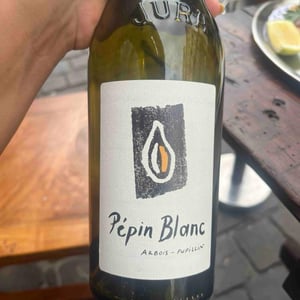 Chardonnay - Kevin Bouillet - kevin-bouillet -2021