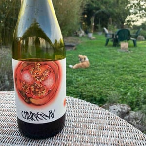 Charpenay - Domaine de la Gapette - Victor Blondin 
