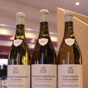 Chassagne-Montrachet Pot Bois - Domaine Lamy-Pillot - Lamy-Pillot -2021