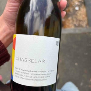 Chasselas - Domaine du Chambet - anthony-fonjallaz -2022
