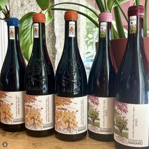 Châteauneuf-du-Pape - Domaine Mayard - arthur-et-hugo-mayard -2022
