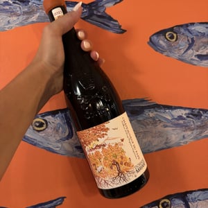 Châteauneuf-du-Pape - Domaine Mayard - Arthur et Hugo Mayard -2022