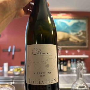 Chenas "Vibrations" - Domaine Thillardon - Aude, Jean-Baptiste, Charles et Paul-Henri Thillardon -2022