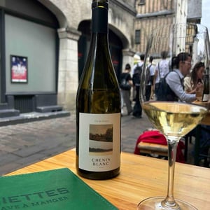Chenin Blanc - Château de Plaisance - vanessa-cherruau -2019