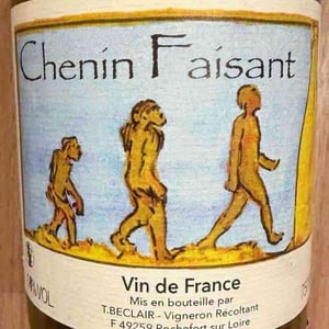 Chenin Faisant - La Cave Béclair - Gildas & Thierry Béclair 