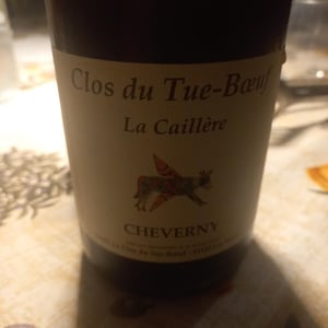 Cheverny - Clos du Tue-Bœuf - zoe-louise-thierry-puzelat -2022