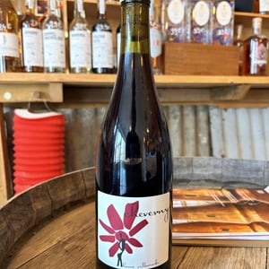 Cheverny Rouge - Hervé Villemade - Hervé Villemade -2025