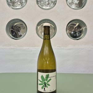 Cheverny - Domaine de Veilloux - herve-villemade -2023