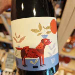 Chien rouge - Frace - Vincent Lafage 