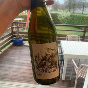 Chiferdeux - Domaine de la Petite Soeur - adrien-de-mello -2024