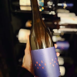 Chiudi gli occhi - Fattoria umano - fattore-umano -2024