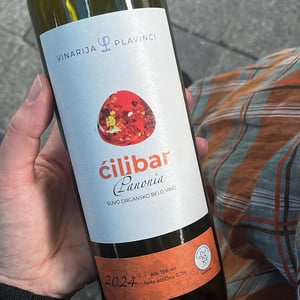 Ćilibar - Vinarija Plavinci - Branislav Andjelic -2024