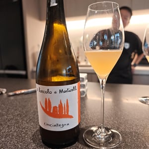 Cinciallegra - Il Roccolo di Monticelli - silvia-tezza -2021