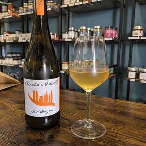 Cinciallegra - Il Roccolo di Monticelli - Silvia Tezza -2021