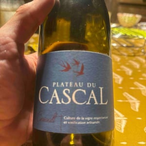 Cinsault 2020 - Plateau Du Cascal - Sofi Bataillard et Julien Veyret -2019