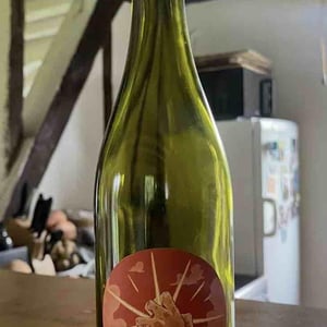 Cinsault - Domaine arletaz - Amélie & Benoît Arletaz -2023