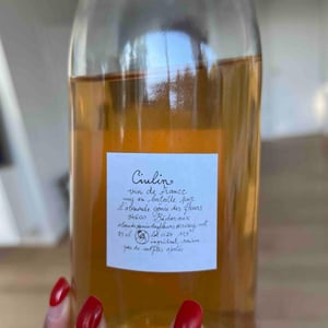 Ciulin - L’absurde Génie Des Fleurs - miha-trifa-tom-gautier