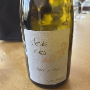 Clematis Vitalba - Domaine Henri Naudin-Ferrand - Claire Naudin 