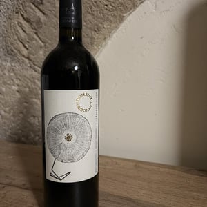 Clément Ader - Domaine De Ribonnet - Simon Gerber 