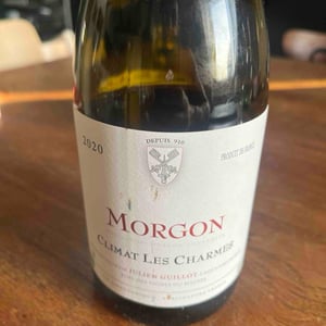 Climat Les Charmes - Clos des Vignes du Maynes - Julien Guillot 