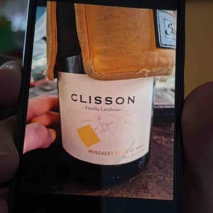 Clisson - Famille Lieubeau - famille-lieubeau