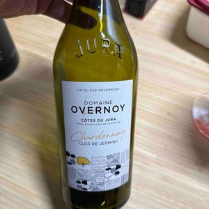 Clos de Jerminy - Domaine Overnoy - guillaume-overnoy -2020