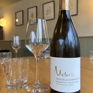 Clos de la Ceriseraie Blanc - Domaine Mélaric - Aymeric Hillaire & Mélanie Cunin 