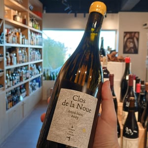 Clos de la Noue - Terra Vita Vinum - benedicte-luc-briand -2023