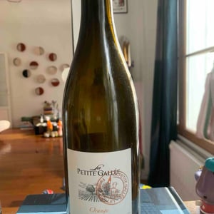 Clos De La Petite Gallée - La Petite Gallée - robert-patrice-thollet -2023