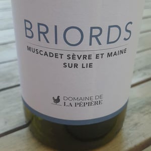 Clos des Briords - Domaine de la Pépière - marc-ollivier-remi-branger-gwenaelle-croix