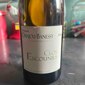 Clos des Escounils - Domaine Danjou-Banessy - Benoît & Sébastien Danjou 