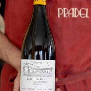 Clos Du Moulin Aux Moines - Domaine SCEA - willy-roulendes-famille-andrieu