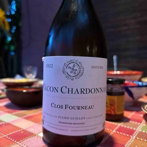 Clos Fourneau - Clos des Vignes du Maynes - julien-guillot
