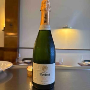 Clos Nostre Senyor Gran Reserva - Cavas Mestres - Mestres -2015