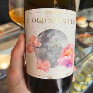 Cloud swimmer - Yeasteria - esmeralda-spitaleri-jacopo-nardi -2022