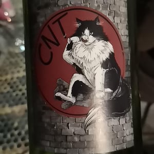 CNT (Cuvée Nouvelle (a)Typique) - Rêvinlution, artisans vinificateurs - Béné, Tom & Solène 