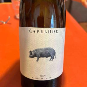 Cochon Blanc