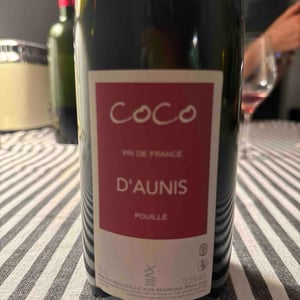 Coco D’Aunis - Domaine des Maisons Brûlées - Corinne & Paul Gillet 