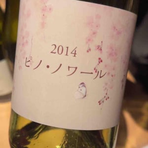 Pinot Noir - Coco Farm & Winery - Romain Weinstock & Toyoichiro Shibata -2014