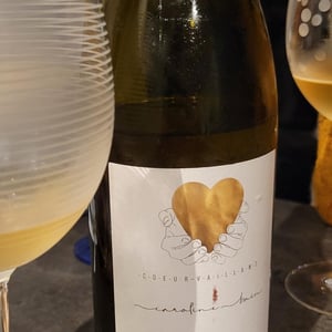 Coeur Vaillant - Caroline Bain - caroline-bain