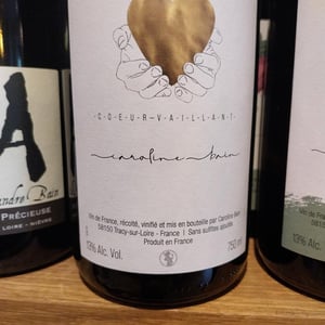 Coeur Vaillant - Caroline Bain - Caroline Bain 
