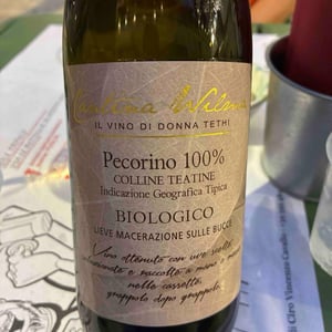Colline teatine - Cantina Wilma - maurizio-nonno -2023