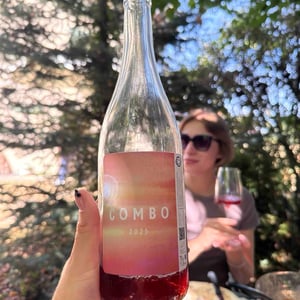 Combo - Domaine Mosse - sylvestre-joseph-mosse -2022