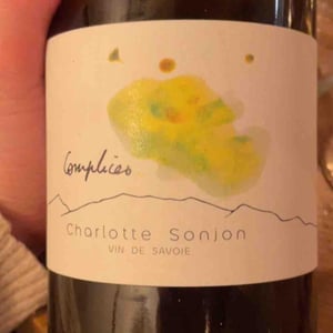 Complices - Charlotte Sonjon - Charlotte Sonjon -2022