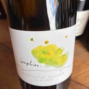Complices - Charlotte Sonjon - Charlotte Sonjon -2022