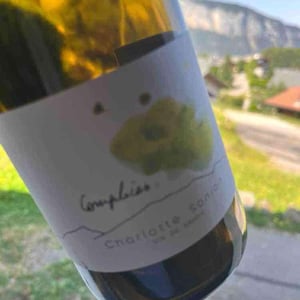 Complices - Charlotte Sonjon - Charlotte Sonjon -2022