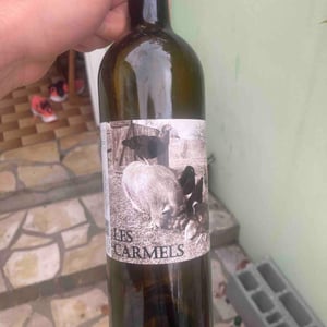 Copains comme cochons - Domaine Les Carmels - yorick-sophie-lavaud -2023